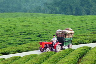又一波財(cái)政扶持資金來襲，農(nóng)綜特色項(xiàng)目2018年申報(bào)啟動(dòng)