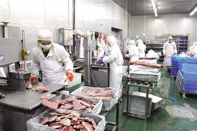 豐都構建“三大體系”打通發展瓶頸，以“三步走”探索食品及農產品加工高質量發展新路徑