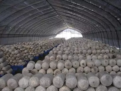 全國農產品及加工副產物18種綜合利用經典模式，農人必看