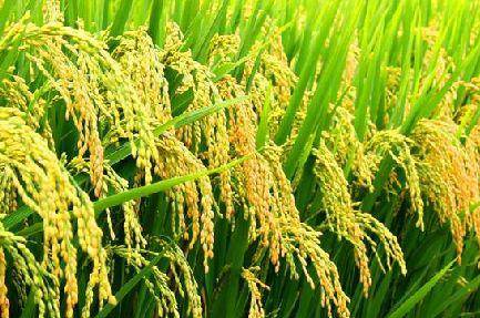 好產品，溯源碼訴說；高品質，細節中彰顯