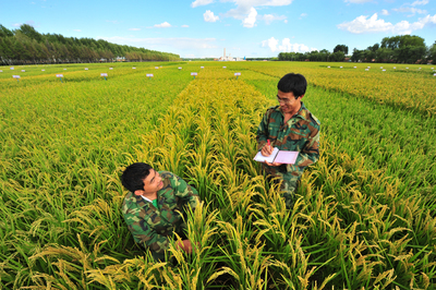 北大荒 青春好年華 蓄勢再揚(yáng)帆——寫在黑龍江墾區(qū)開發(fā)建設(shè)七十周年之際